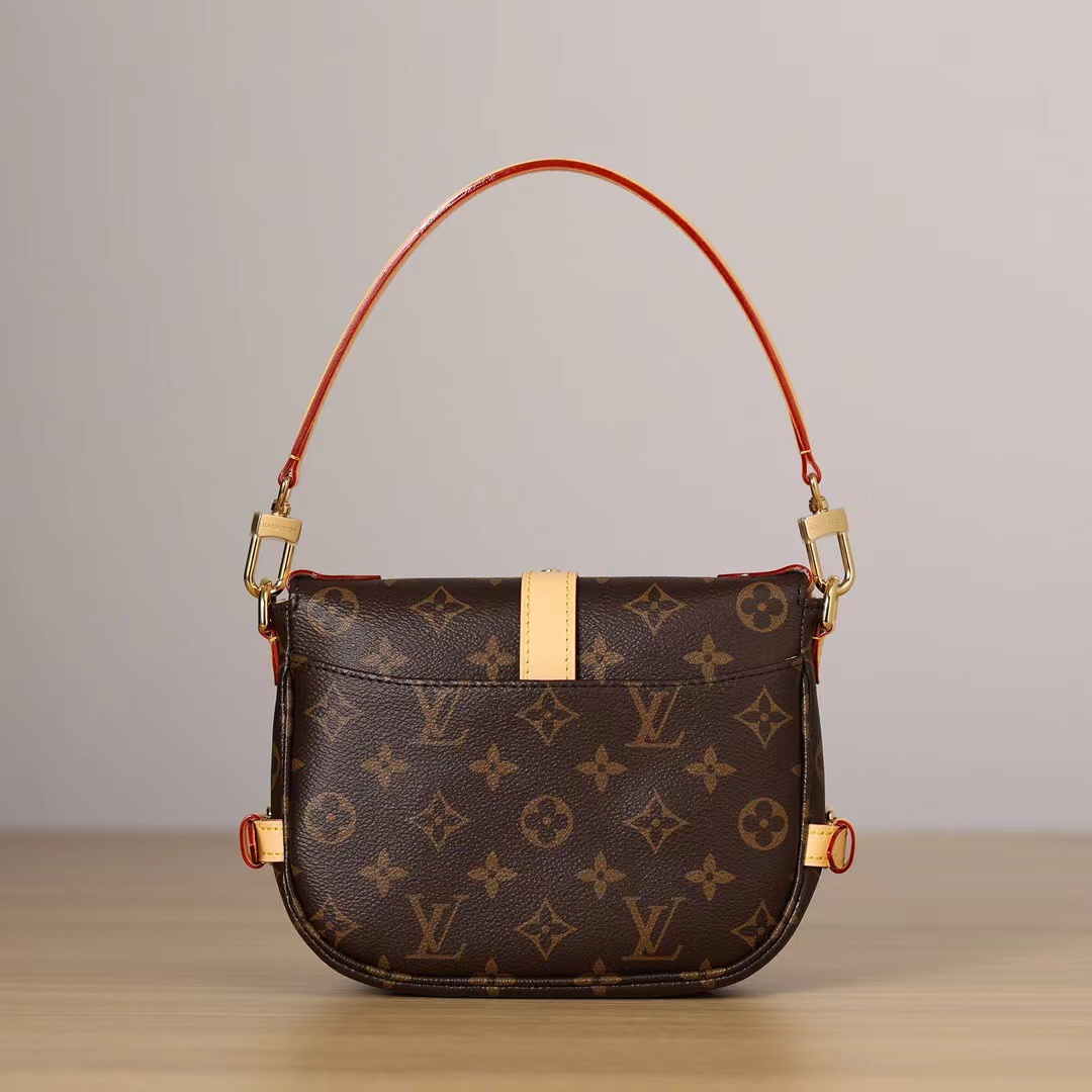 LOUIS VUITTON M46740 (20X16X7.5cm)