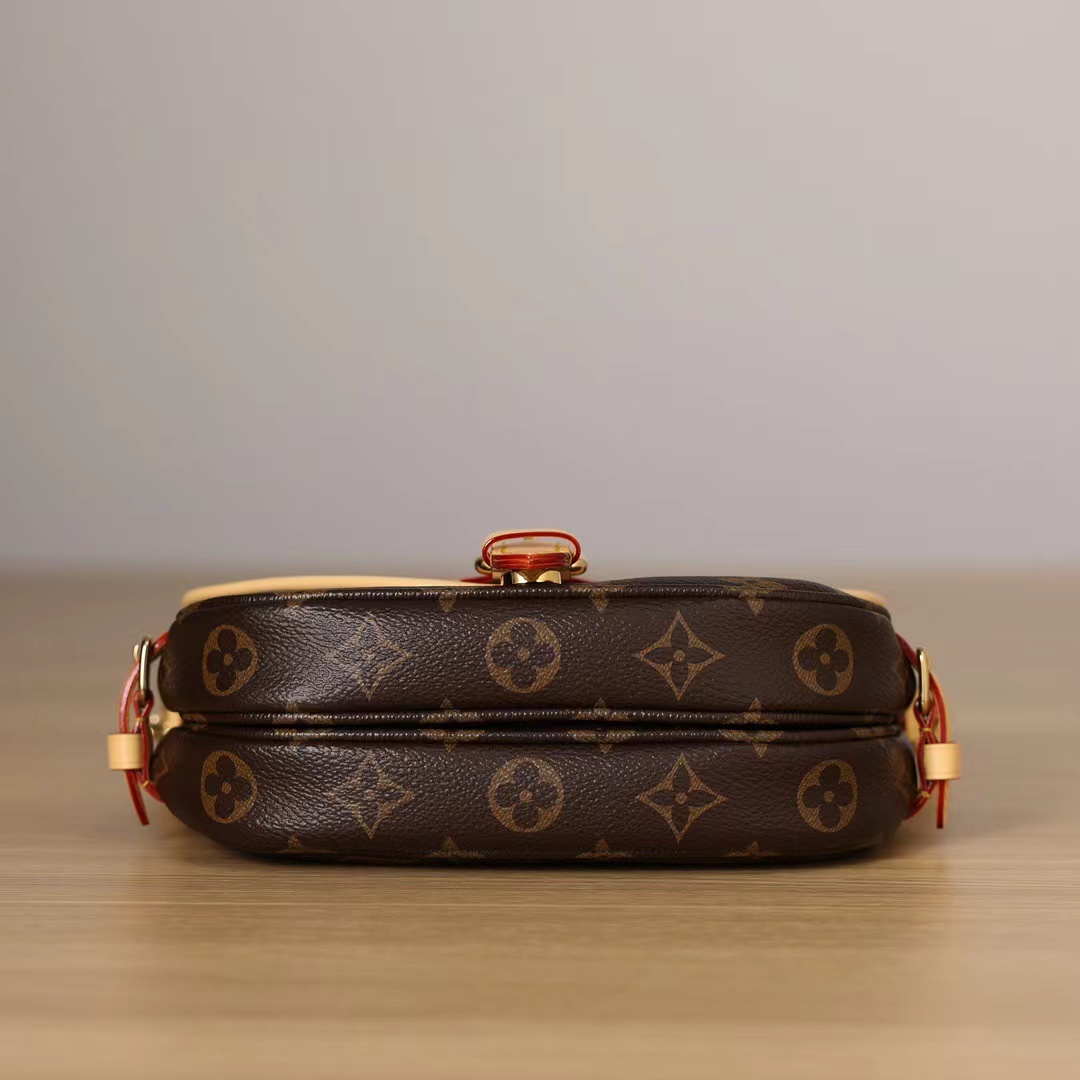 LOUIS VUITTON M46740 (20X16X7.5cm)