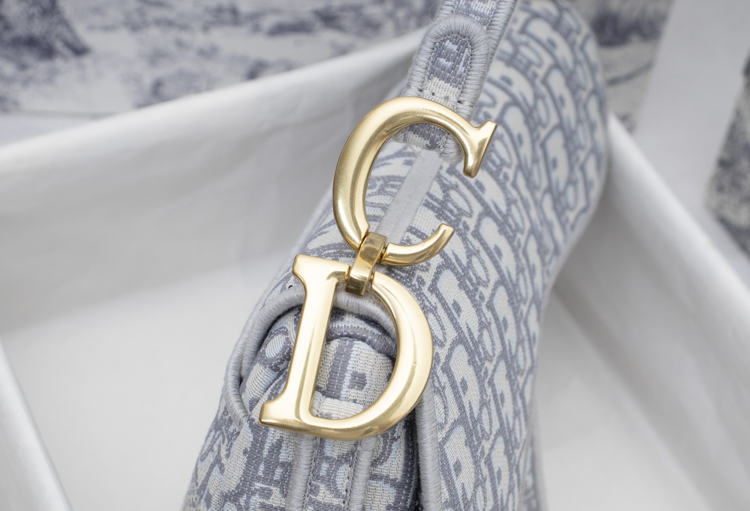 DIOR Saddle Oblique canvas bag