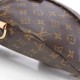 LOUIS VUITTON BUMBAG BELT BAG M43644 (37X14X13cm)