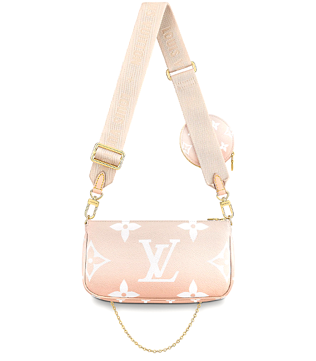 Louis Vuitton Multi Pochette Accessoires MIST